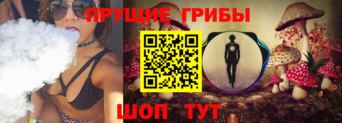 Ярославль  Галлюциногенные грибы Cubensis  Вход с VPN 
